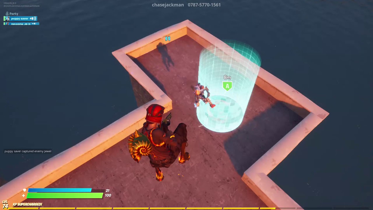 Capture the Llama