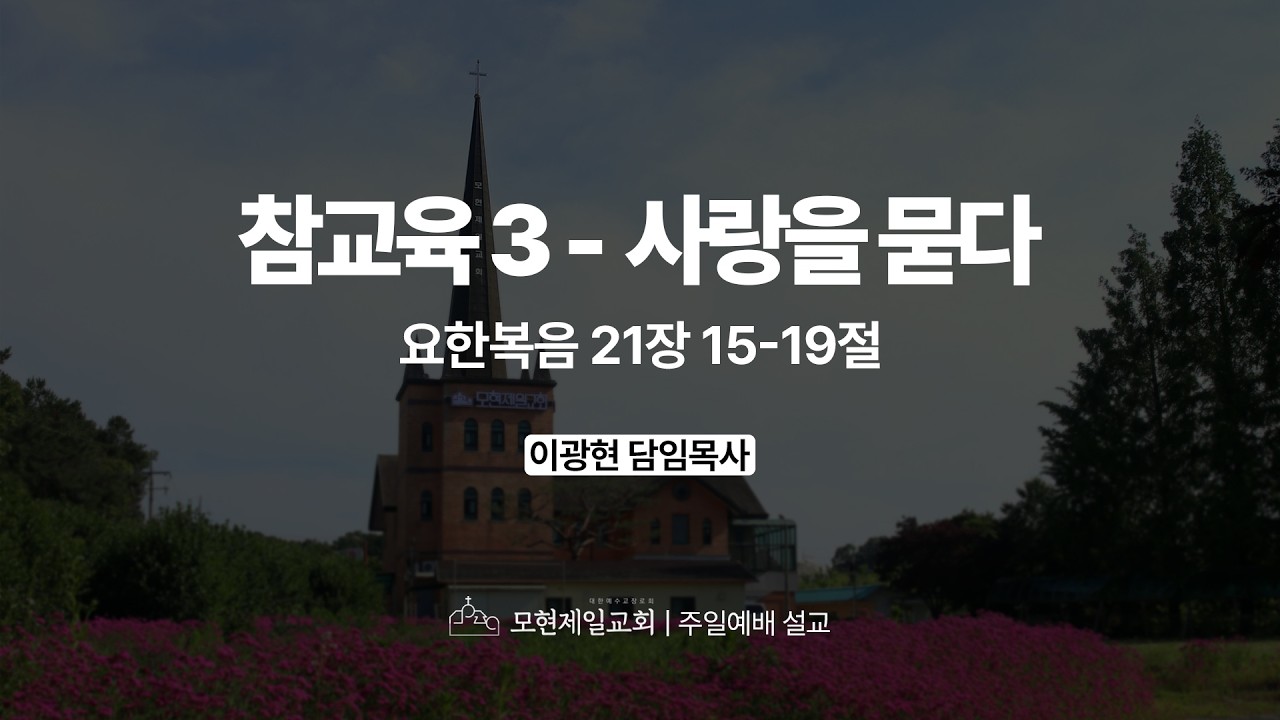 참교육 3_사랑을 묻다 유튜브 썸네일