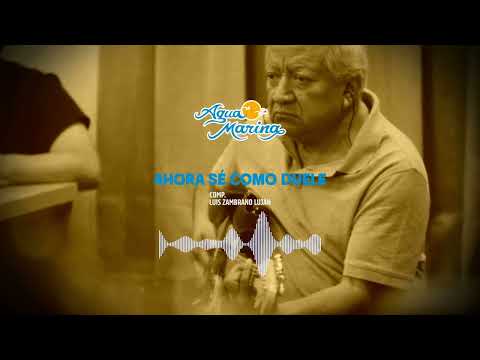 Agua Marina - Ahora Sé Cómo Duele (Audio Oficial)