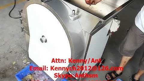 SH-100L vegetable and fruit slicing cutting machine, slicer cutter, slice chips cutter