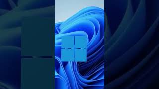 Win 11 Facts