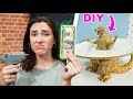 Trying To Make DIYS For UNDER $10!