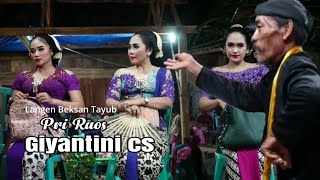 TAYUB GIYANTINI CS - WALANG KEKEK || PRI RAOS