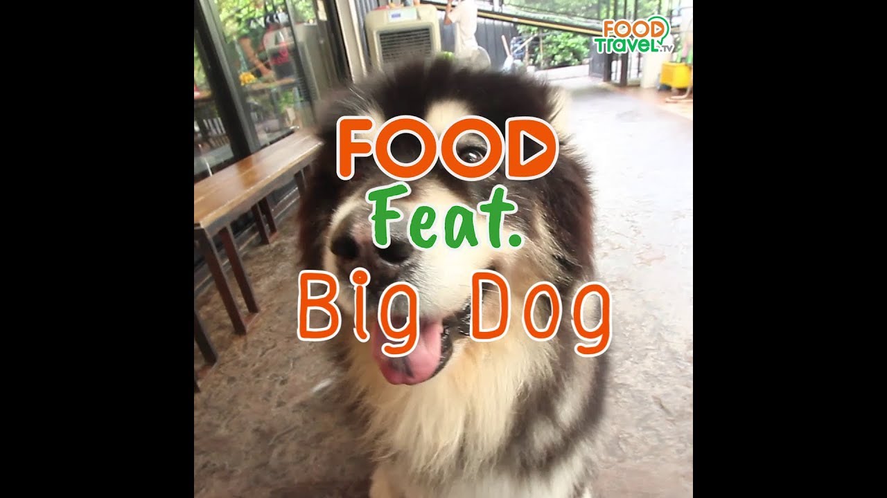 สุนัขตัวใหญ่ ใครว่าน่ากลัว Big Dog Cafe | Food Featuring