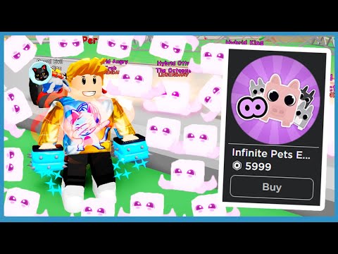 Noob With Infinite Pets Gamepass Broke The World Roblox Champion Simulator Youtube - buying the infinite bag and making millions roblox
