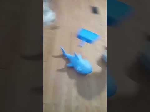 remote controlled shark