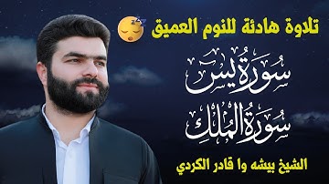 تلاوة هادئة للنوم العميق 😴 (سورة يس - سورة الملك) بصوت جميل - الشيخ بيشه وا قادر الكردي