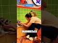 КОШКА СТАЛА МАМОЙ СУРИКАТУ