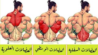 أفضل ٤ تمارين لـ عضلات الضهر العلوي والاوسط والسفلي - Top 4 upper & Lower & middle Back Workout