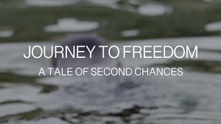 Journey to Freedom: A Tale of Second Chances