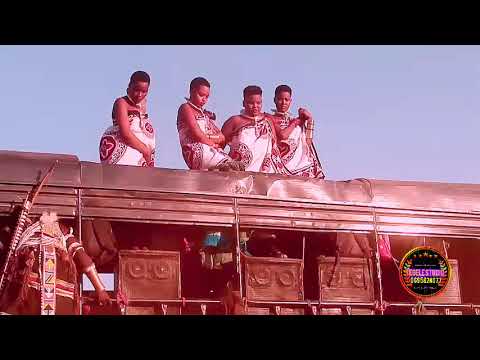 Show Live Ya Nelemi Mbasando 2025 Manzese Sikia