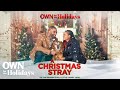 A christmas stray  full movie  own for the holidays  own