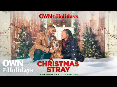 "a christmas stray" | full movie | own for the holidays | own