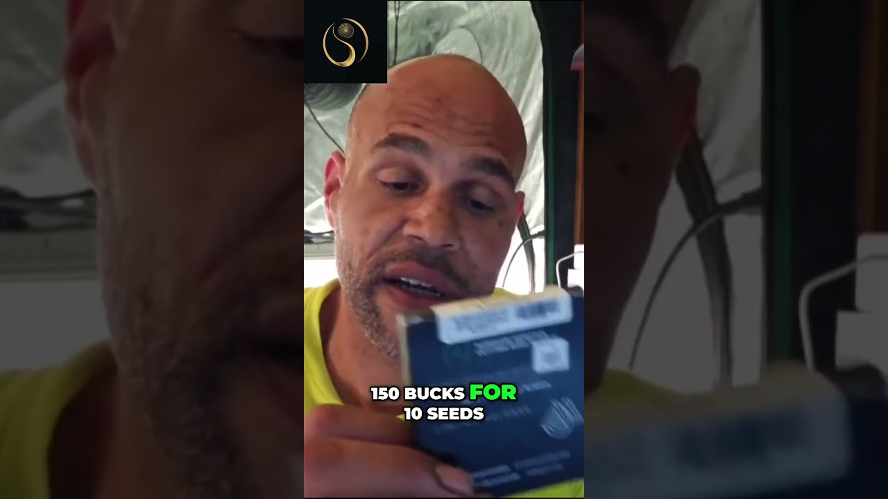 Getting Started with FEM Seeds: Pros and Cons in Cannabis Cultivation