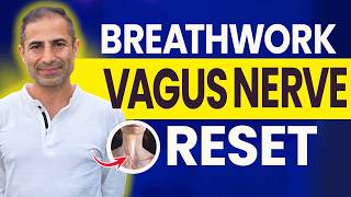 10 Minute Daily Breathwork For Nervous System Regulation | Vagus Nerve Stimulation screenshot 2