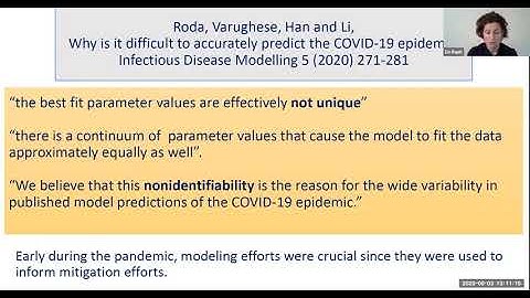 Zoi Rapti: Metapopulation and Age-Structured Epidemic Models for the COVID-19 Pandemic