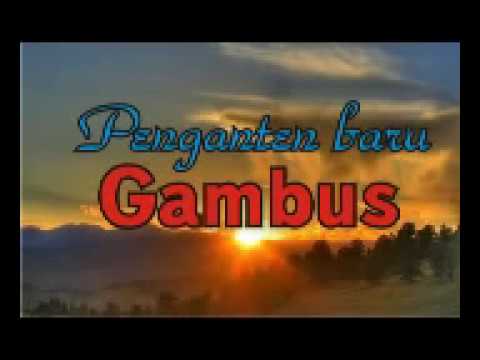#gambus #padangpasir Penganten Baru Gambus