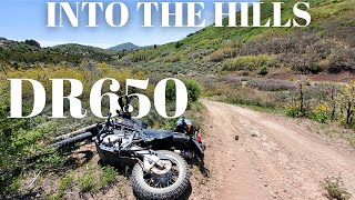 Into The Hills  Suzuki DR650