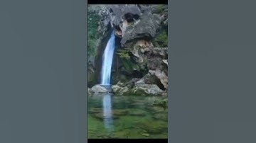 سورة نوح بصوت الشيخ سعد الغامدي Sura Noah Saad Al-Ghamdi