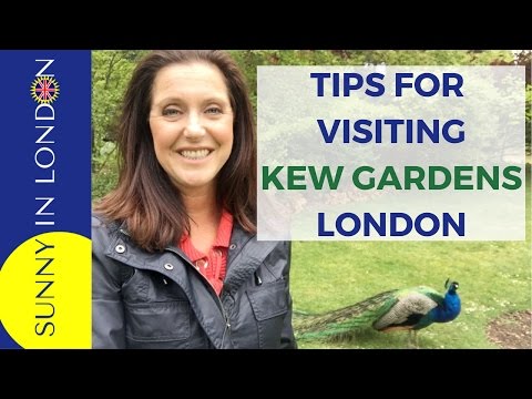 Vídeo: Como chegar ao Kews Gardens e Guia do Visitante