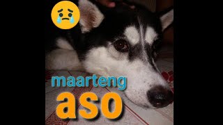 Pami Aso...saksakan Ng Arte.