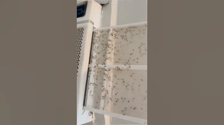 Rental move out inspection revealed some hidden treasures