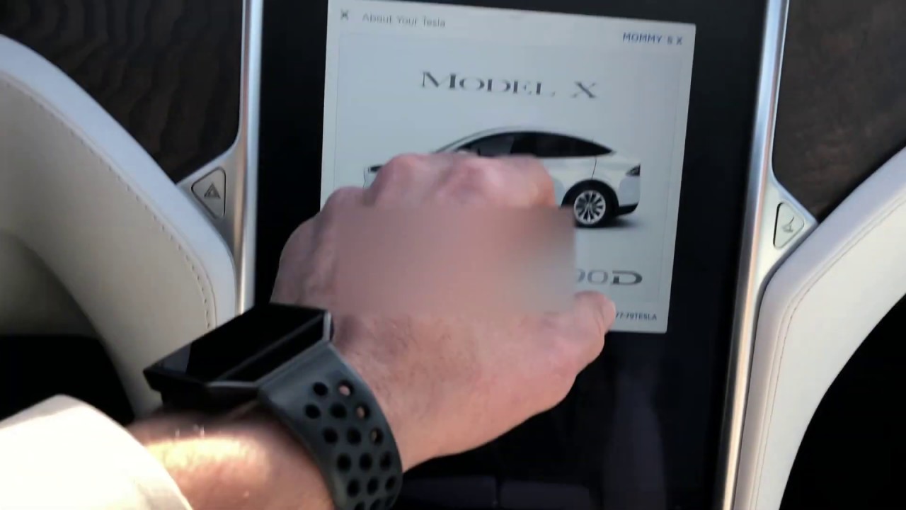 Tesla Software Update | AutoSteer stoplight warning & Dog mode *Software Update* 2019.8.4