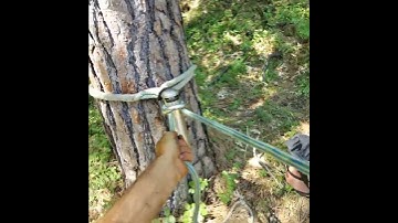 dressing da porta-wrap