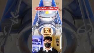 🚀🐶 Laika: The Dog They Sent to Space... But Never Brought Back 😢💔 | Dark Truth of Sputnik 2