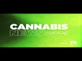 Cannabis News - The Worst Part About Legalization is Government | Ep. 473 | 08-28-2019