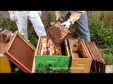 Vídeo: Cómo Sacar El Núcleo De Un Hervor