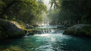 Forest Retreat Jazz 🎷 Relaxing Music for Stress Relief, Reading & Quiet Moments #004