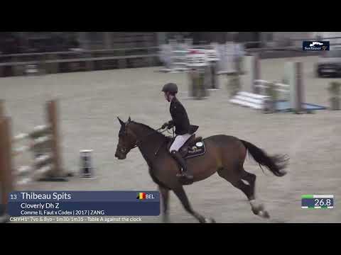 Thibeau Spits & Cloverly DH Z, Comme Il Faut x Withney Dwerse Hagen, mare, 2017, Sentower 7 years