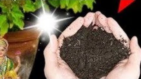 06 जून निर्जला एकादशी के दिन तुलसी की मिट्टी से कर लेना ये 1 गुप्त चीज बनोगे|| Pradeep Ji Mishra