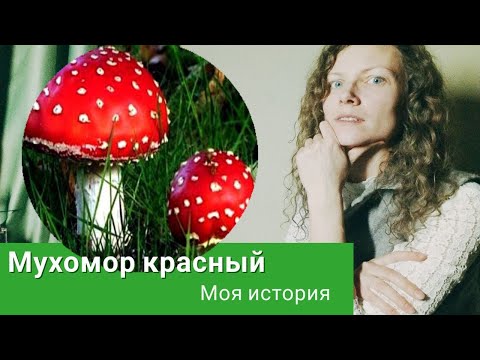 видео: Микродозинг мухомора &  красный мухомор &  моя история & Ясный Свет