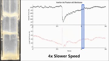Tip Force Sensing Needle in a Tissue Phantom