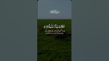 سورة الواقعه #اكسبلور #duet #قرآن