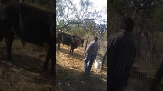 el estilo del rancho 😊😎 la milpilla Jalisco..