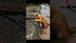 The Current Is Quite Strong