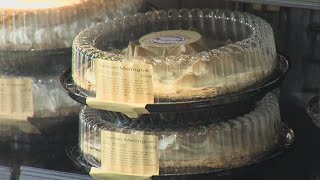 Local Businesses Fighting Inflation