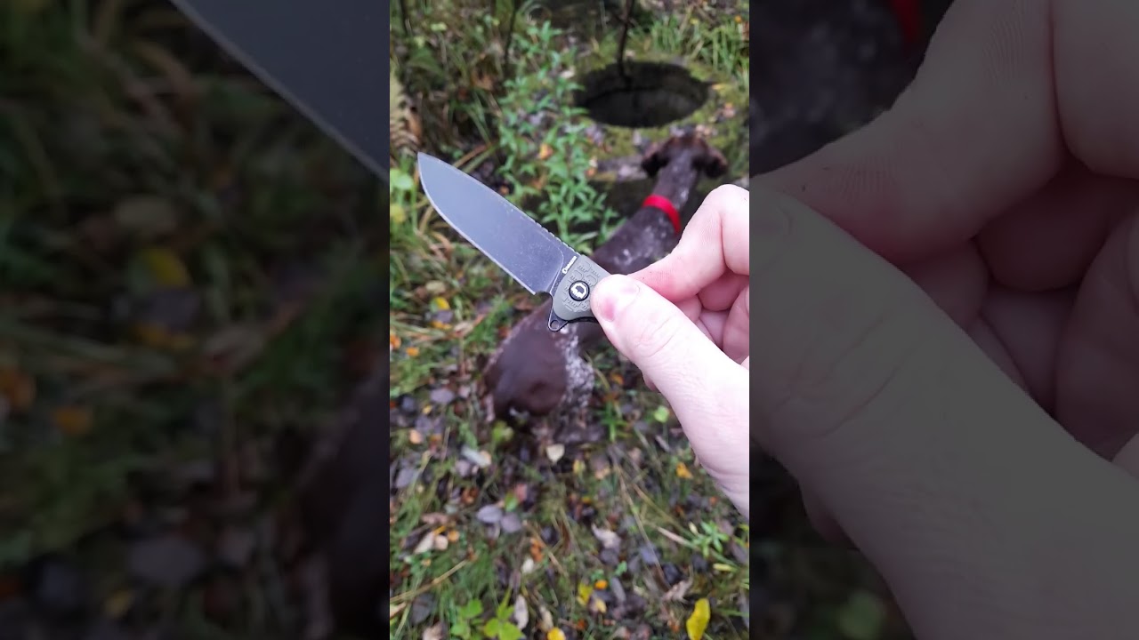 Dagger Wocket личное мнение!