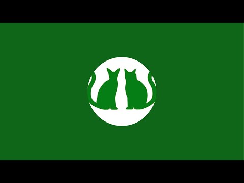 TOKUI VIDEO CAMP カレーコンテスト！