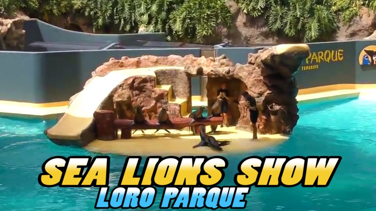 Loro Parque: SEA LIONS Show - Tenerife (4k)