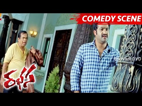 Jr NTR And Brahmanandam Comedy Scene - Rabhasa Movie Scenes