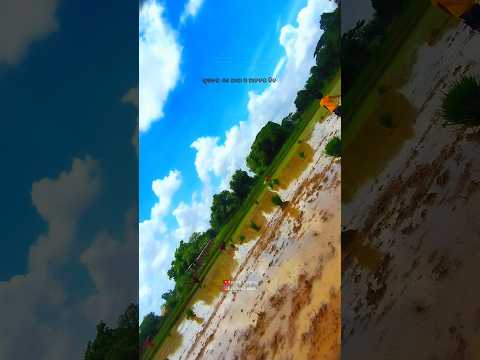 ଧାନ ଚାଷ//Farming//paddy crops//Indian Farming//dhenkanal//odisha