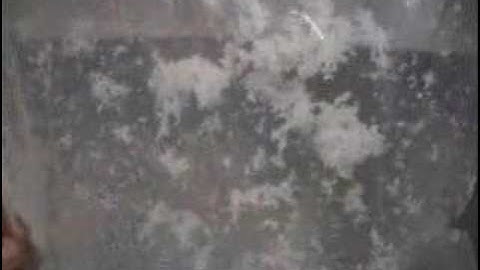 Ep.19a Particle agglomerates in microgravity