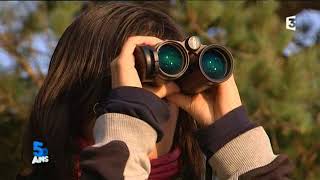 50 ans de TV régionale en Picardie : une télé grandeur nature