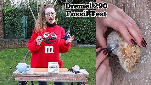 My Dremel 290 Arrived! Fossil Preparation Test 👀