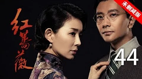 红蔷薇 44丨Wild Rose 44（主演:杨子姗,陈晓,毛林林,谭凯）【未删减版】 - 天天要闻