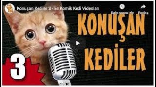 Konuşan Kediler 3 - En Komik Kedi Videoları
